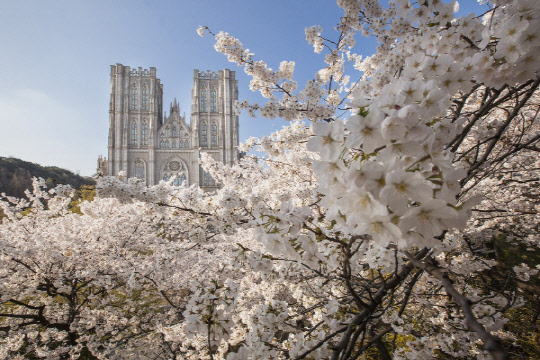 사진= 경희대학교. 제공